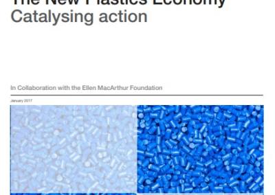 New Plastics Economy: Catalysing Action