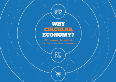 Why circular economy?