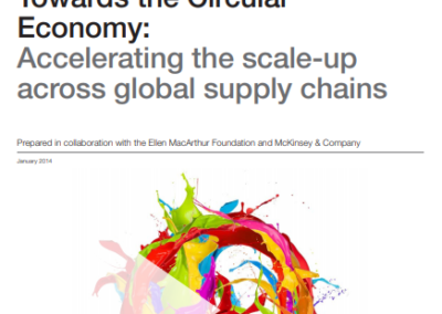 Accelerating the scale-up across global supply chains