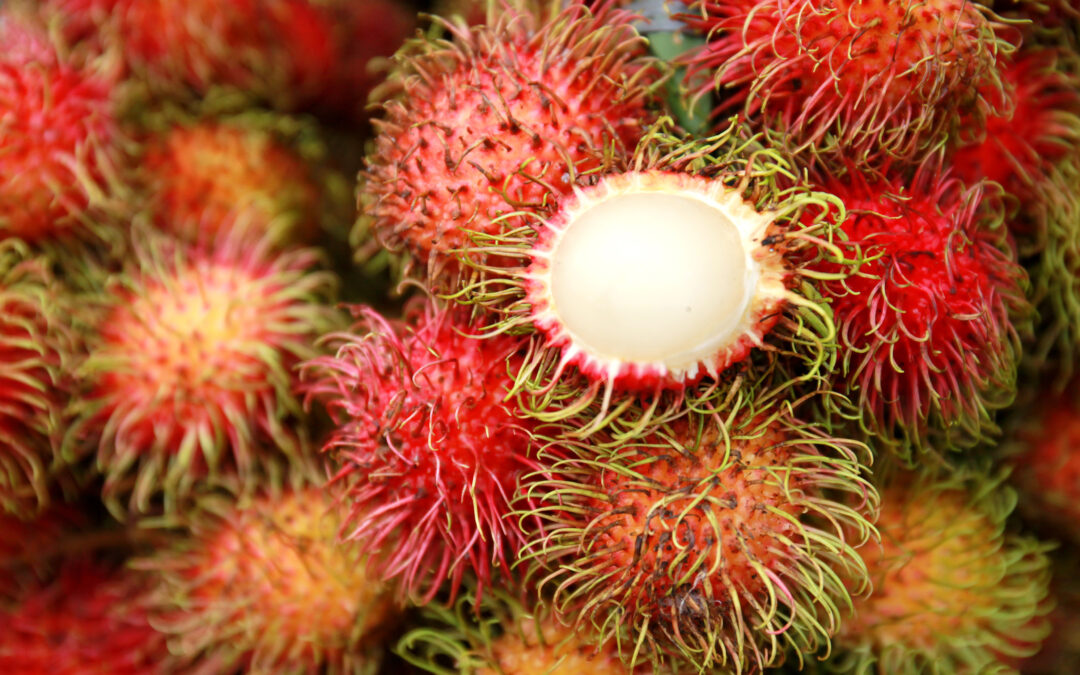 Rambutan