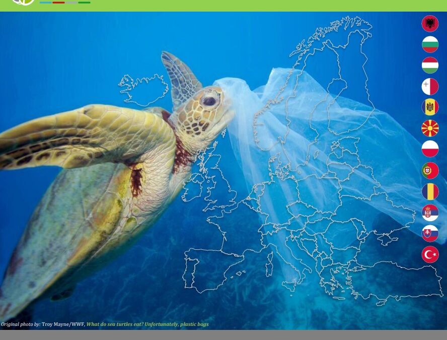Raport na temat gospodarowania odpadami z tworzyw sztucznych w Europie