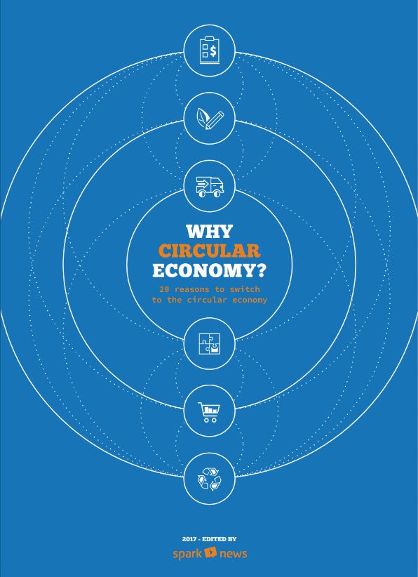 Why circular economy?